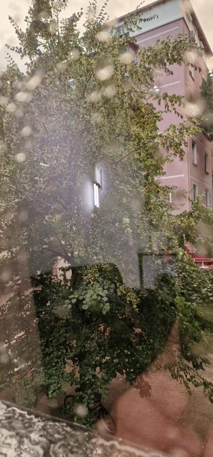 Heart Of Tirana Apartment 外观 照片